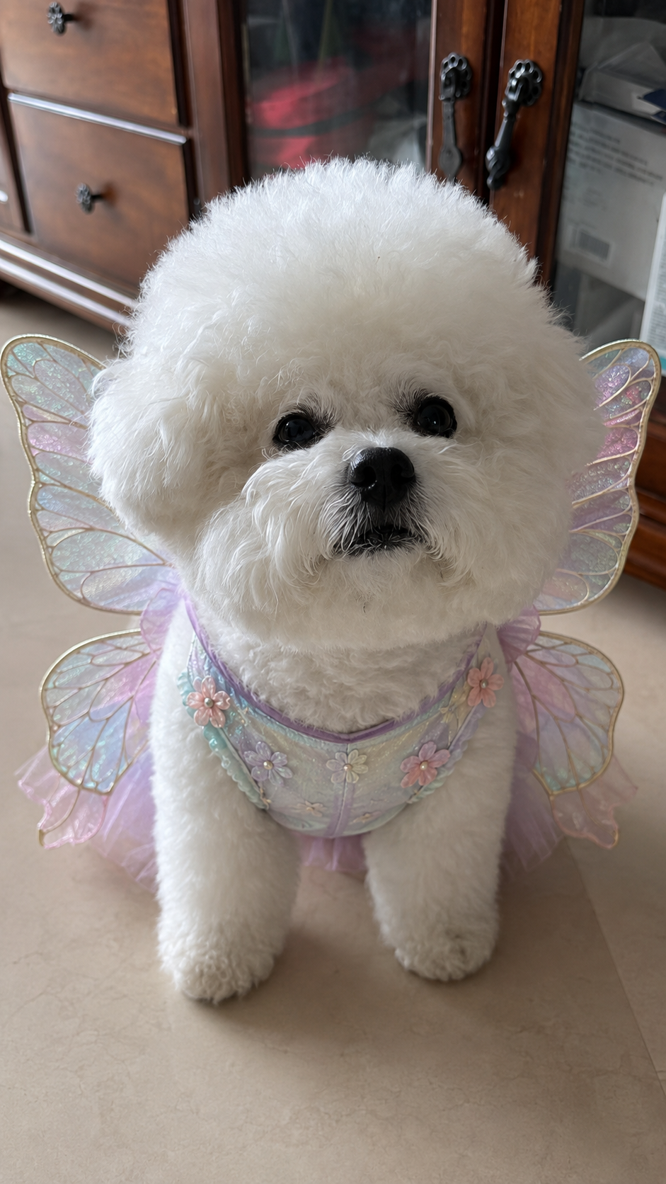 A small dog wearing a butterfly fairy costume, created in Furreal
